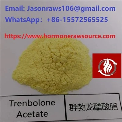 باڈی بلڈنگ CAS کے لیے Trenbolone Acetate:10161-34-9
